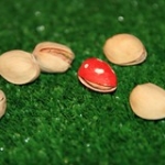 the fly agaric pistachio          20091108_9065 the fly agaric pistachio          20091108_9065 • <a style="font-size:0.8em;" href="http://www.flickr.com/photos/85195461@N00/4090351869/" target="_blank">View on Flickr</a>