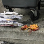 Autumn in Switzerland Autumn in Switzerland • <a style="font-size:0.8em;" href="http://www.flickr.com/photos/85195461@N00/22279891903/" target="_blank">View on Flickr</a>