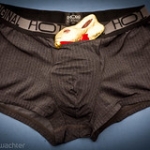 Where did your easter bunny hide the eggs? Where did your easter bunny hide the eggs? • <a style="font-size:0.8em;" href="http://www.flickr.com/photos/85195461@N00/6916401390/" target="_blank">View on Flickr</a>