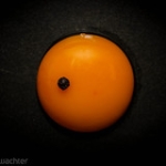 Venus and the Sun Venus and the Sun • <a style="font-size:0.8em;" href="http://www.flickr.com/photos/85195461@N00/7161132311/" target="_blank">View on Flickr</a>